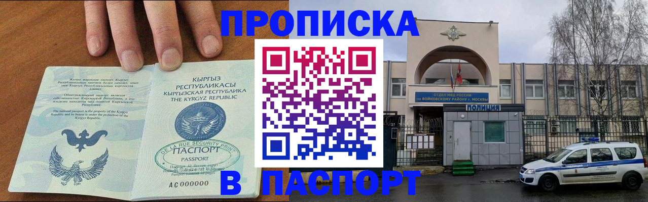 временная прописка в Волосово